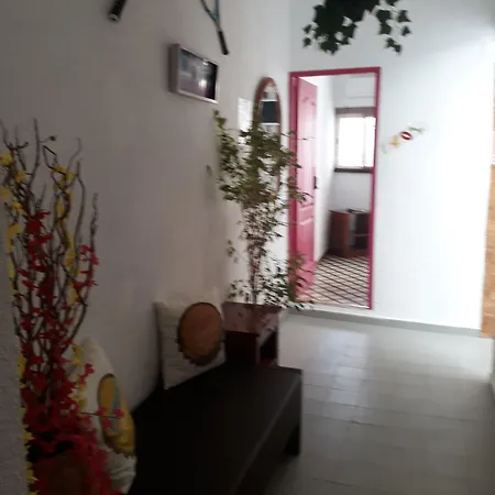 Hostel Mayor *