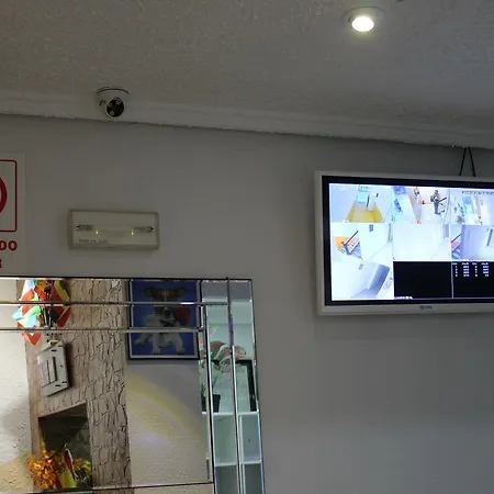 Mayor بيت شباب *