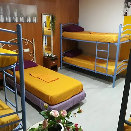 Hostel Mayor *