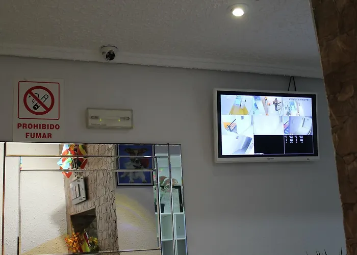 Mayor Хостел *