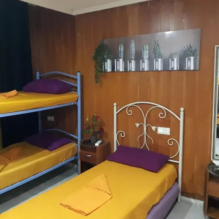 Hostel Mayor