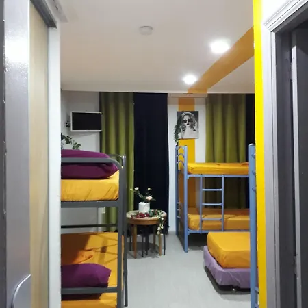 Hostel Mayor