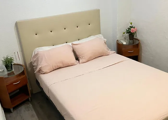 Hostel Mayor *