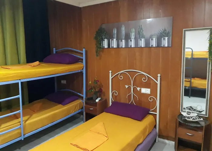 Hostel Mayor