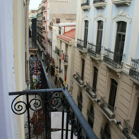 Hostel Mayor